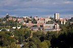 Universidade Do Estado De Washington Fotos Banco de Imagens e Fotos de ...