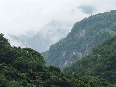 12 Temperate Rainforests Around The World