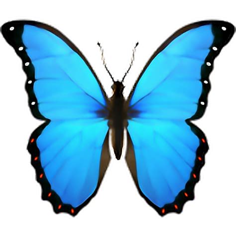 Butterfly Emoji Png Png Image Collection