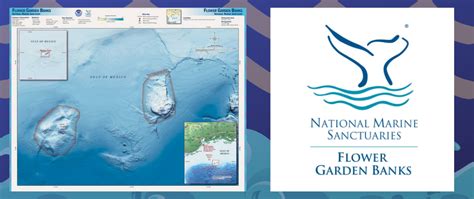 Noaa To Expand Flower Garden Banks National Marine Sanctuary Guice