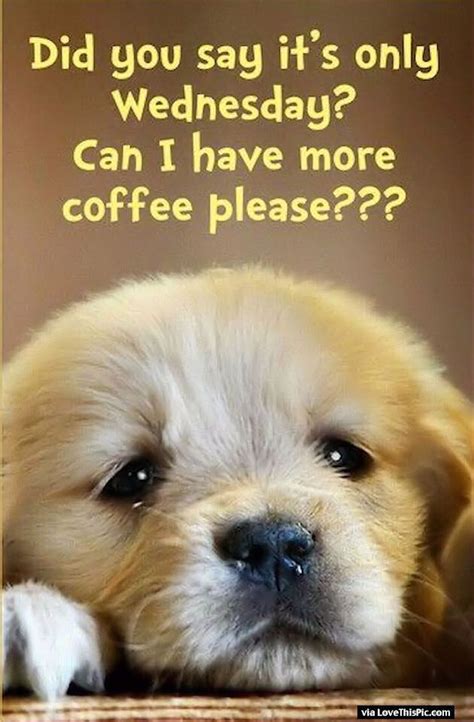 Did You Say Its Only Wednesday Can I Have More Coffee Morning Quotes