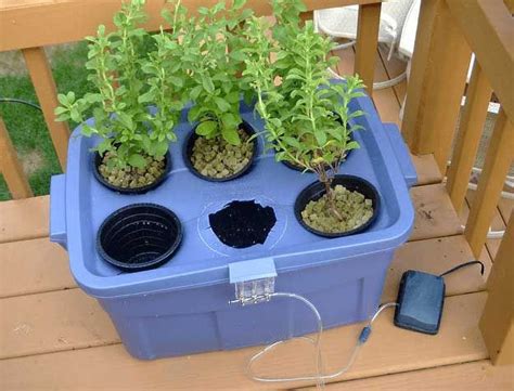33 Amazing Hydroponic Systems For Indoor Gardening Hydroponics Diy