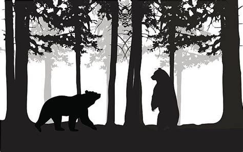 Royalty Free Bears In Trees Clip Art Vector Images And Illustrations