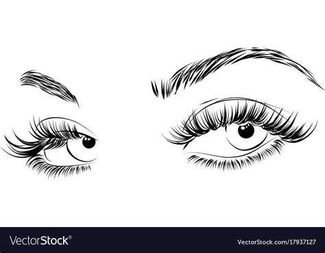 Female Eyes Drawing Long Eyelashes Royalty Free Vector Image