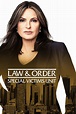 Law & Order: Special Victims Unit (1999) | The Poster Database (TPDb)