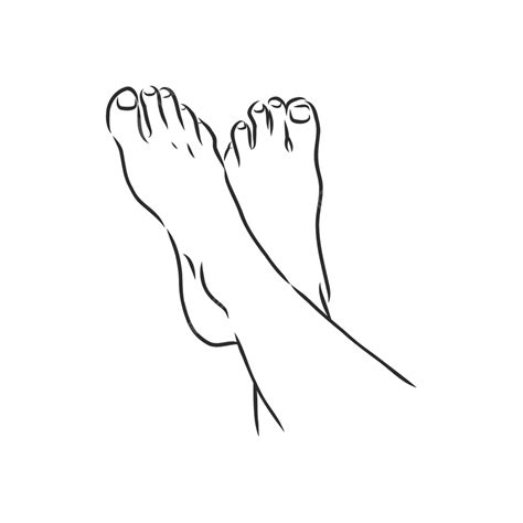 Vector Sketch Of A Barefoot Female Figureminimalistic Line Drawing