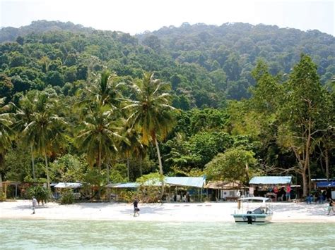 Penang national park or taman negara penang (malay) may be malaysia's smallest national park at only 23 sq km! Penang National Park | Attractions in Teluk Bahang, Penang