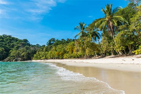 Tour Por El Parque Nacional Manuel Antonio Tourse Excursiones