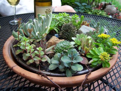 Diy modern indoor planter 9. 25 Indoor and Outdoor Succulent Gardens Of All Sizes ...