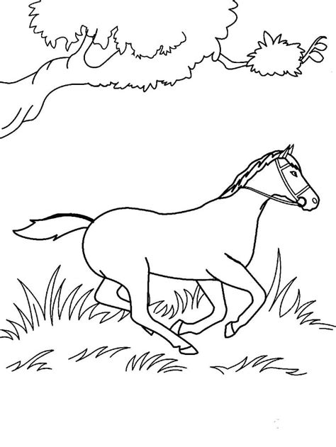 Horse Coloring Pages Coloringlib