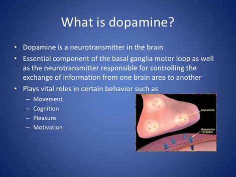 Dopamine Levels Fall During Migraine Attacks