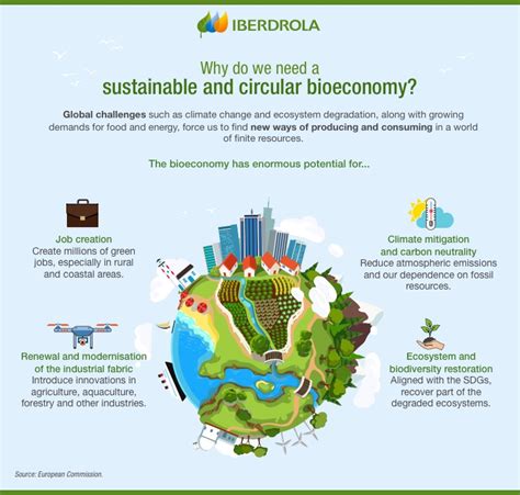 Bioeconomy What Is It Key To Sustainable Development Iberdrola