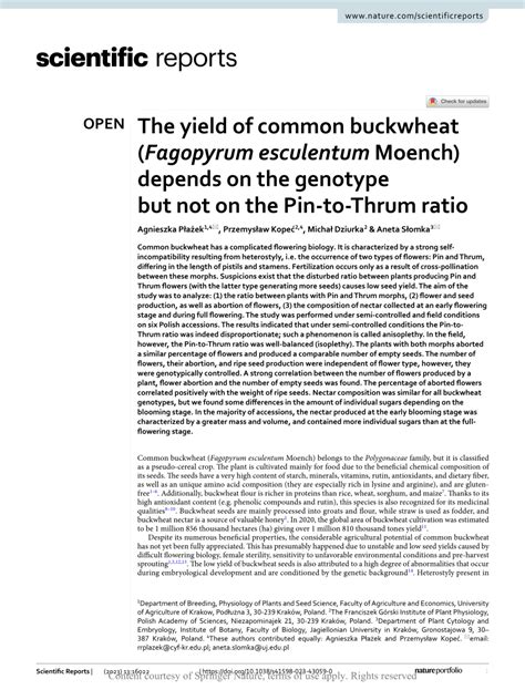 Pdf The Yield Of Common Buckwheat Fagopyrum Esculentum Moench