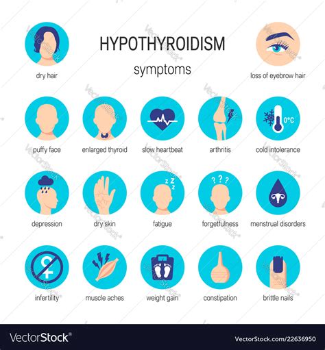 Hypothyroidism Symptoms Royalty Free Vector Image
