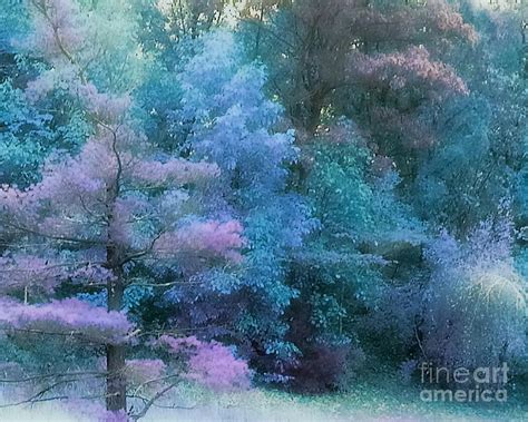 The Enchanted Pastel Forest By Jari Hawk