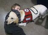 Photos of Need A Service Dog