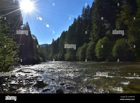 The Lower Lewis River Below The Waterfalls A Popular Hiking And