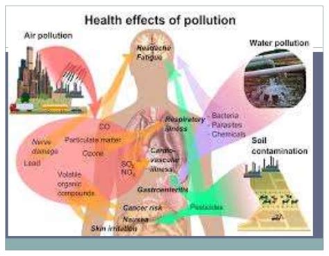Water Pollution Effectscausesand How It Is Dandages To