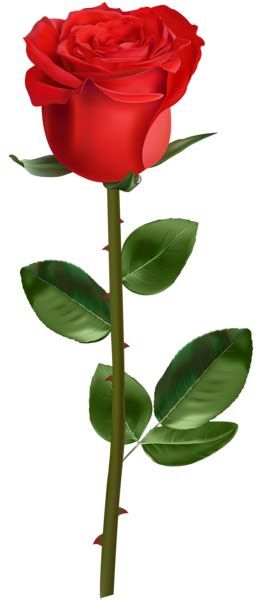 Blue flowers free png stock. Rose PNG