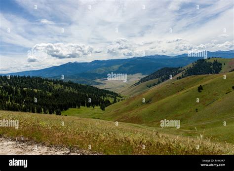 View Of Green Praire And Rolling Hills Within The National Bison Range