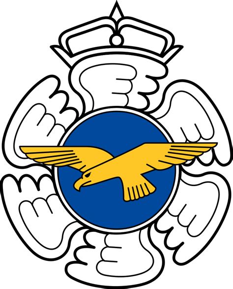 I Just Learnt That The Flag Of Finnish Air Force Have The Swastika In
