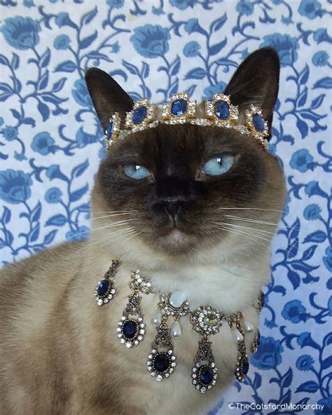 The Catsford Monarchy — Her Royal Highness Crown Princess Allonwyn