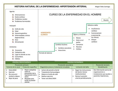 Historia Natural De La Enfermedad Hta Medicina Preventiva Uaemex Porn