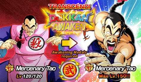 The 40th World Tournament Opens Dokkan Info