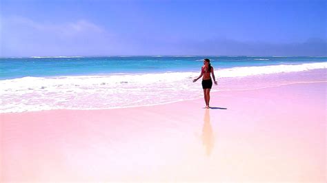 Pink Sands Resort Bermuda Pink Choices