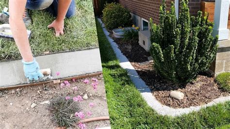 Diy Concrete Landscape Edging My Experience Youtube