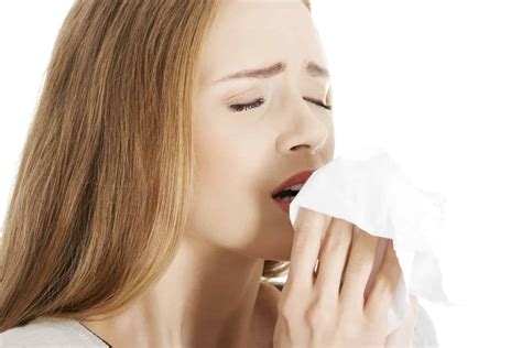Sinusitis Crónica Causas Síntomas Y Tratamiento La Guía De Las