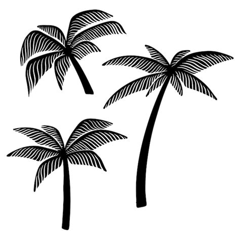 Premium Vector Set Of Hand Drawn Palm Tree Illustrations