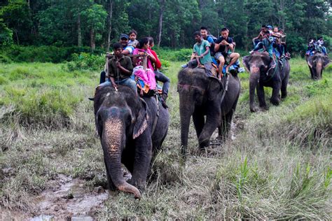 1 night 2 days chitwan jungle safari tour nepal hiking adventure