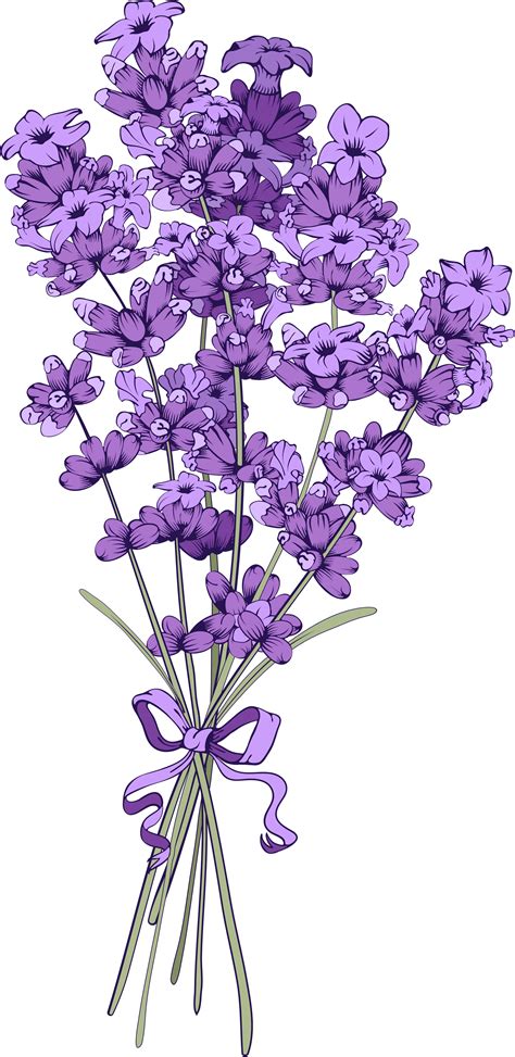 Purple Flower Vector Png