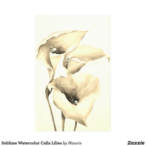 Three White Flowers Are Shown In This Sepia Toned Photo With The
