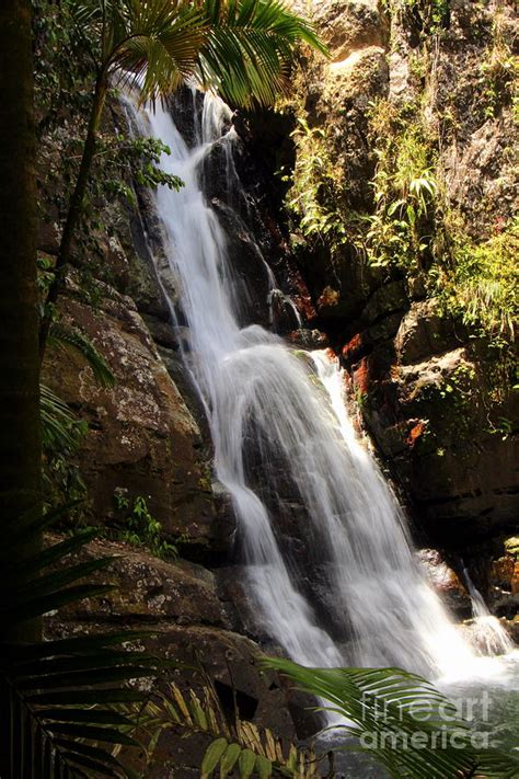 La Mina Falls El Yunque Rain Forest Puerto Rico Photograph By Charlene Cox