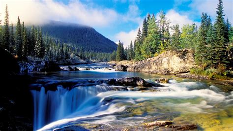 Nature Scenery Forest Thick Spruce River Rocks Waterfalls