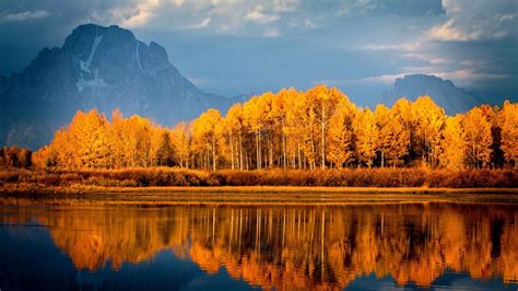 X Autumn Trees On Lake Laptop Full Hd P Hd K Wallpapers Images Backgrounds Photos