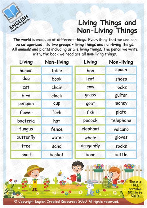 Living And Non Living Things English Created Resources