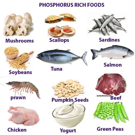 • eat smaller portions of foods high in protein at meals and for snacks. PHOSPHORUS HEALTH BENEFITS DEFICIENCY AND RICH FOODS ...