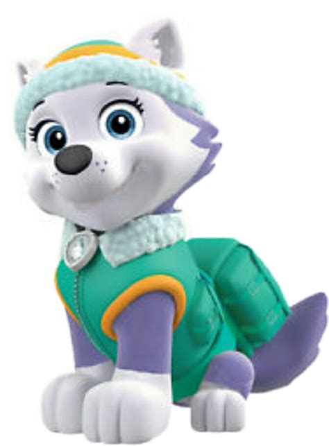 View And Download Hd Everest Paw Patrol Png  Free Everest Paw