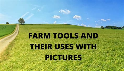 Common Farm Tools And Equipment Names Uses And Pictures Legitng