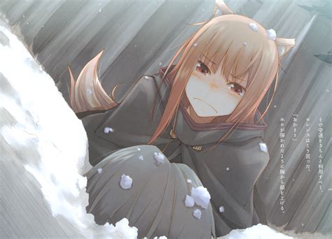 Animal Ears Horo Orange Hair Scan Spice And Wolf Tail