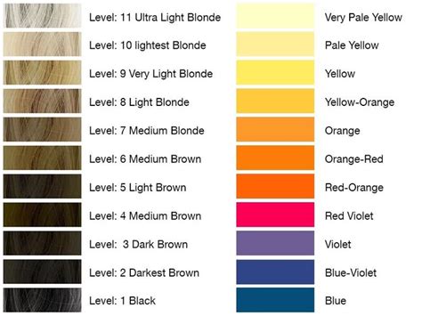 How To Use Wella Color Charm Toners Wella Color Charm Wella Color Charm Toner Wella Color