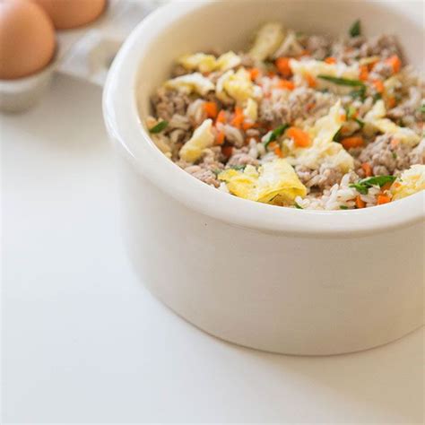 Remember, these recipes above are for supplementing your cat's regular healthy diet. Fresh dog food, homecooked dog food - NomNomNow | Dog food ...