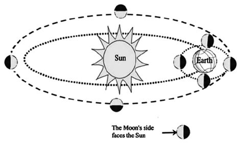 The Emergence Of An Intuitive Dynamic Model Of The Earthmoonsun