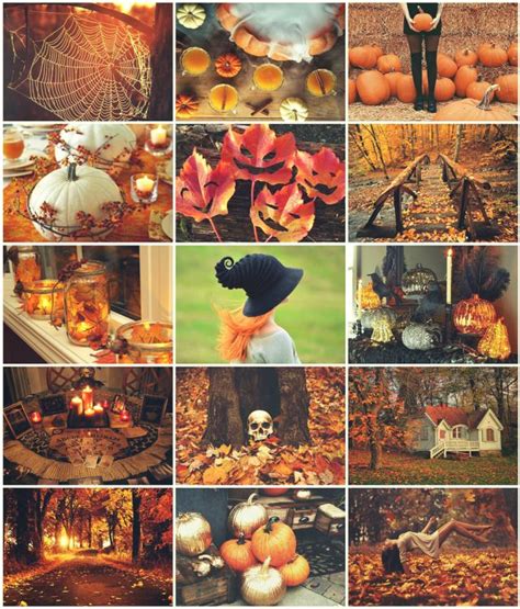 Autumn Collage Mood Board Autumn Witch Witch Aesthetic Samhain