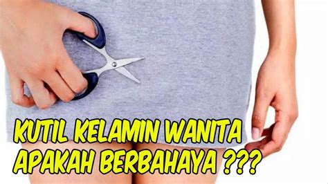 Kutil Kelamin Wanita Apakah Berbahaya Youtube