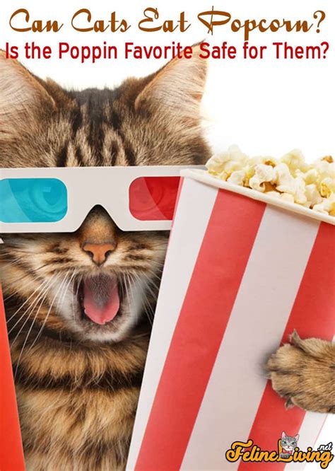 Read on to find out why some types of popcorn are safer for dogs than others, and just how much popcorn your dog can eat. Can Cats Eat Popcorn? Is It Safe For Them Or Not?
