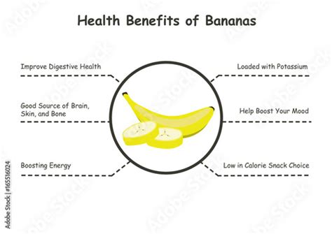 Health Benefits Of Bananas Bananass Health Benefits Infographic Vector Illustration Stock
